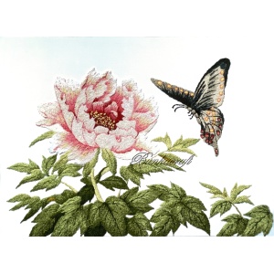 BCM1357 Peony and Butterfly