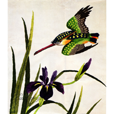 BCM269-Kingfisher