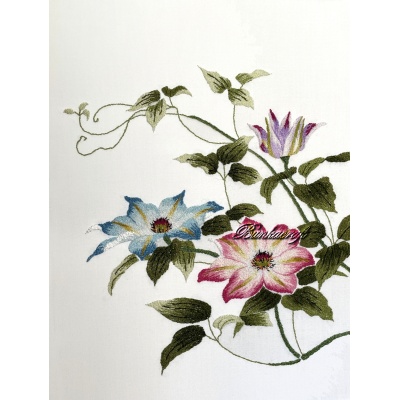 BCM331 Clematis
