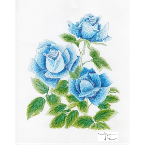 BC-342 Blue Roses