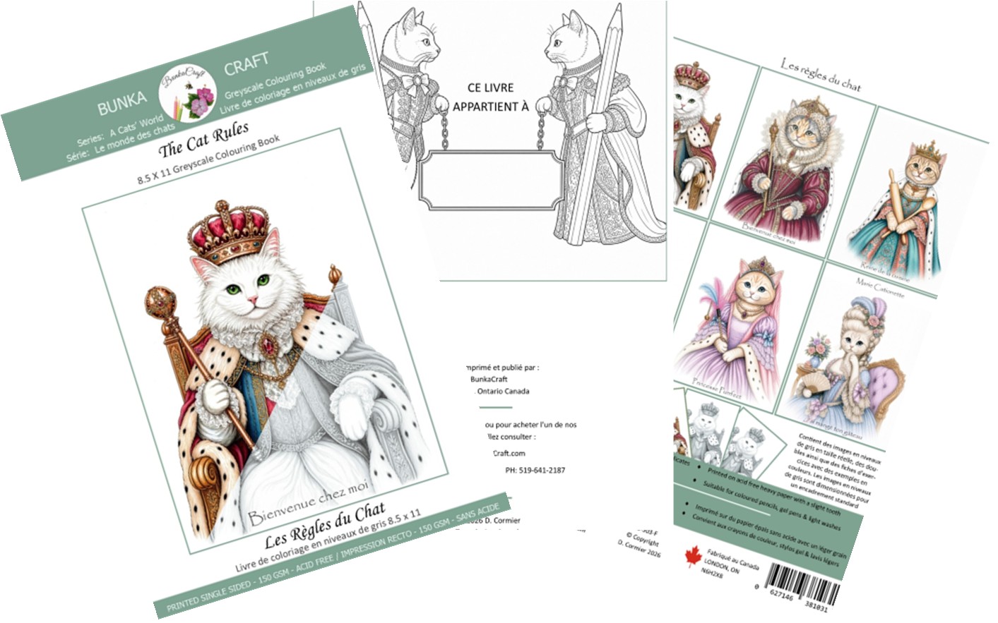 CB-503F The Cat Rules - 8.5 x 11in Colouring Book with French Titles - Image 2